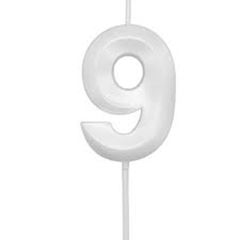 FEST VELA BRANCA 9  PLASTICA