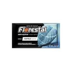 CHICLETE S/ACUCAR 8,5G HORTELA FLORESTAL