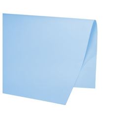 CARTOLINA REIPEL 120G AZUL 50X60CM