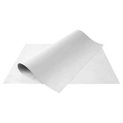 CARTOLINA REIPEL 120G BRANCA 50X60CM